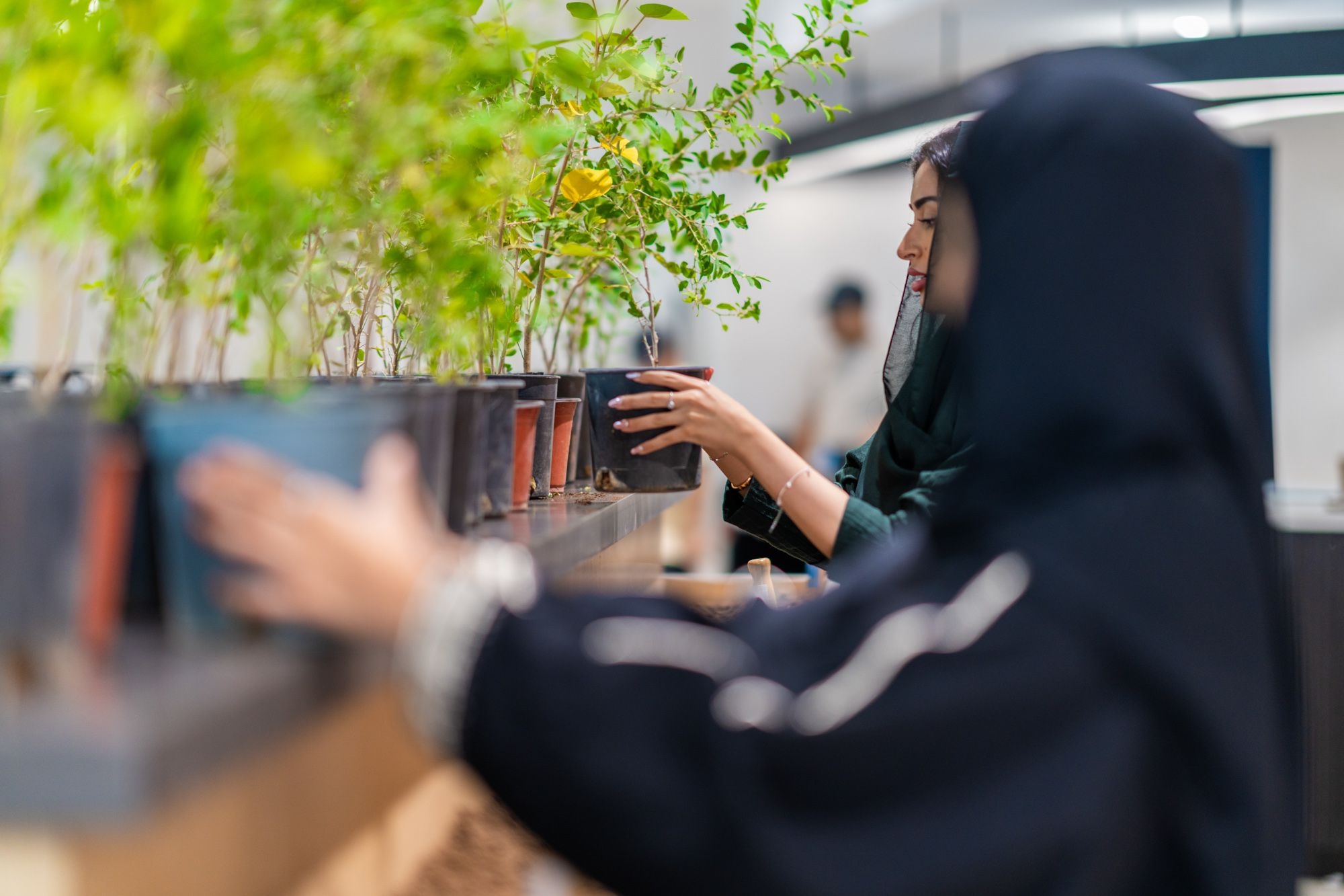 A visit to ROSHN Green Initiative Center