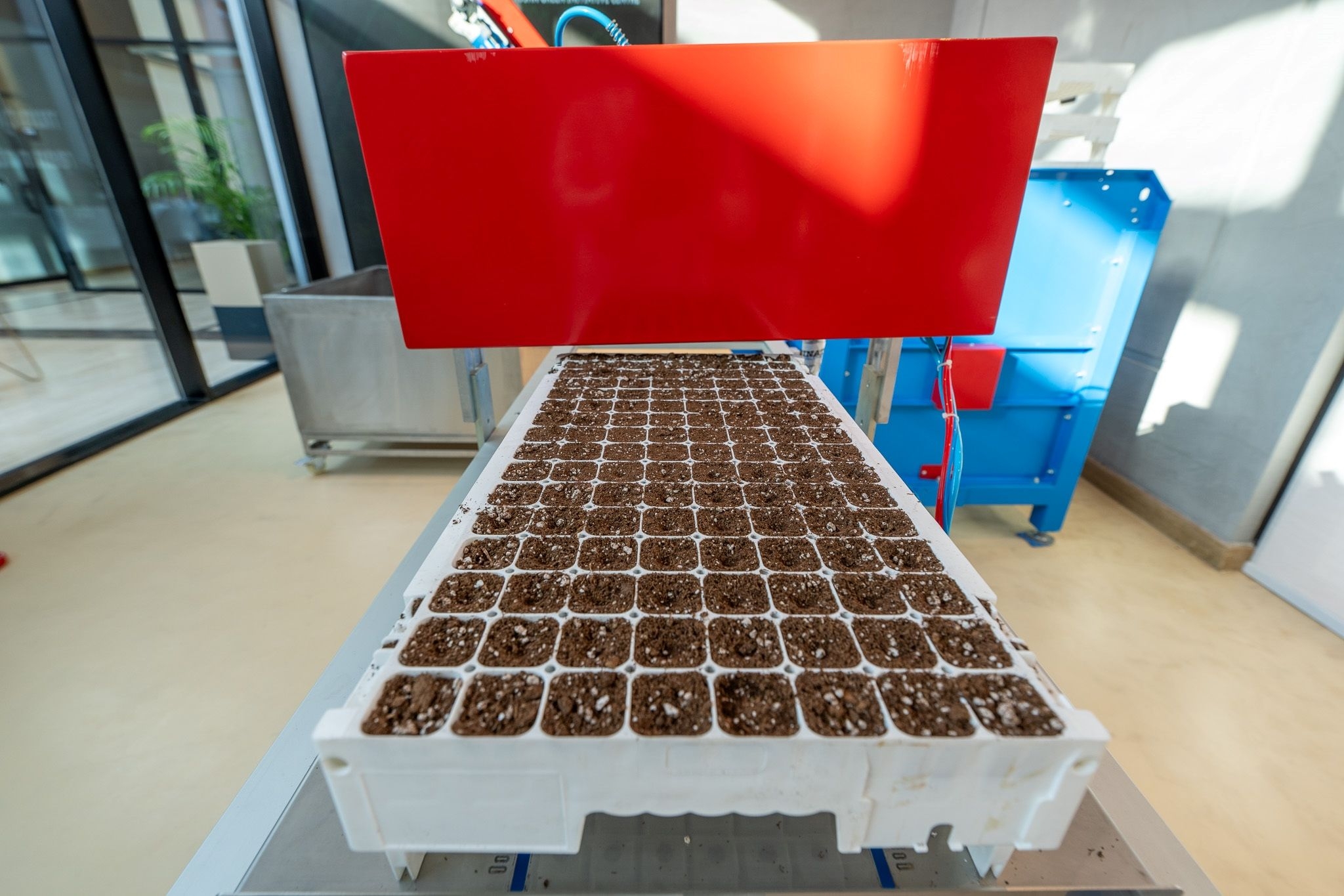 Plants at ROSHN Green Initiative Center