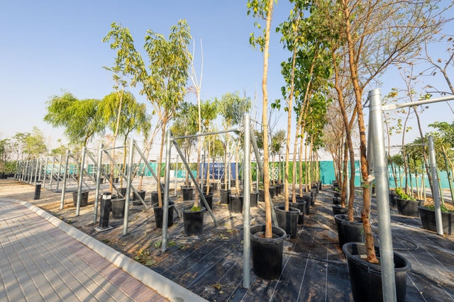 ROSHN Green Initiative Center, Outdoor Area