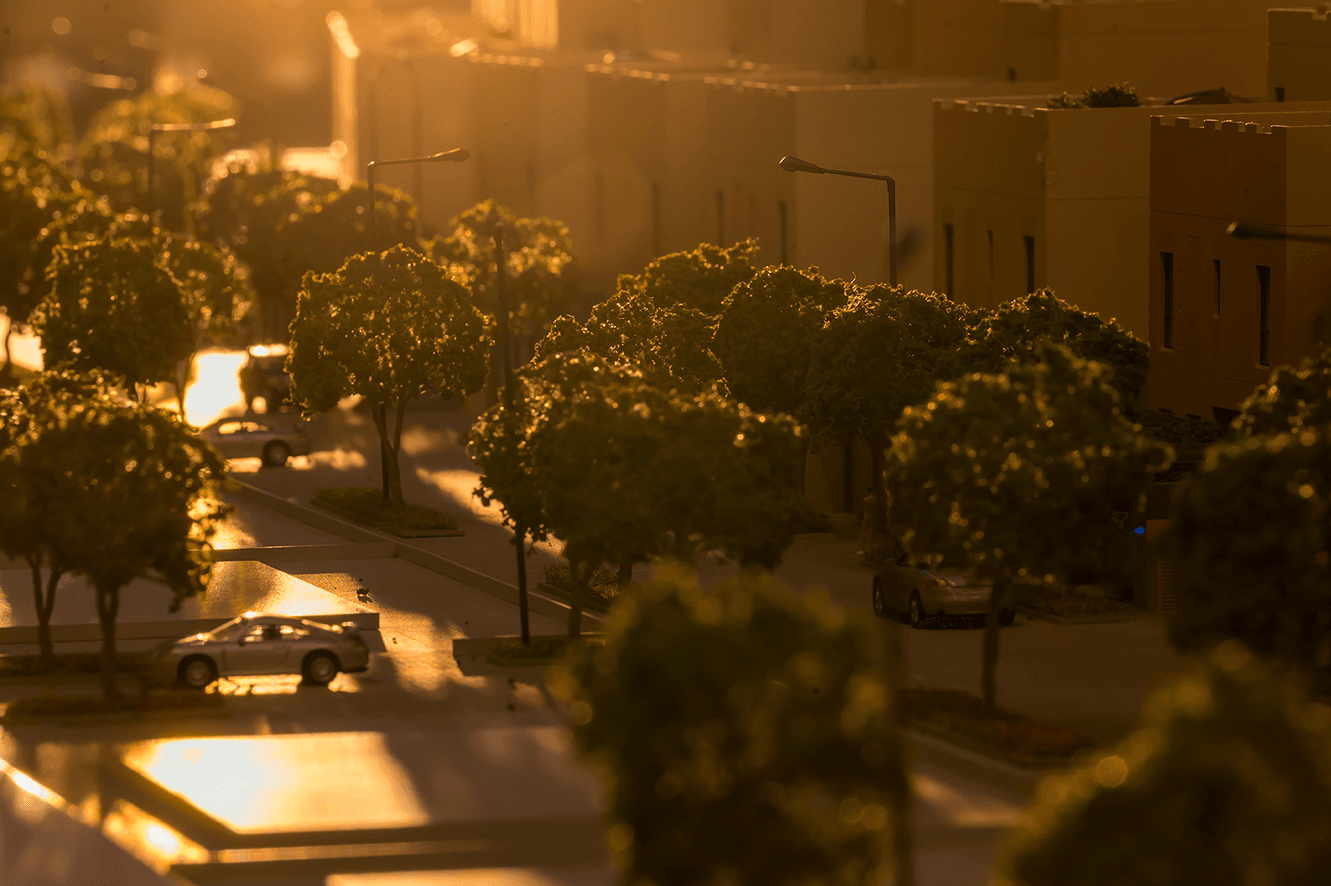 Green landscaped area within a ROSHN Group residential community