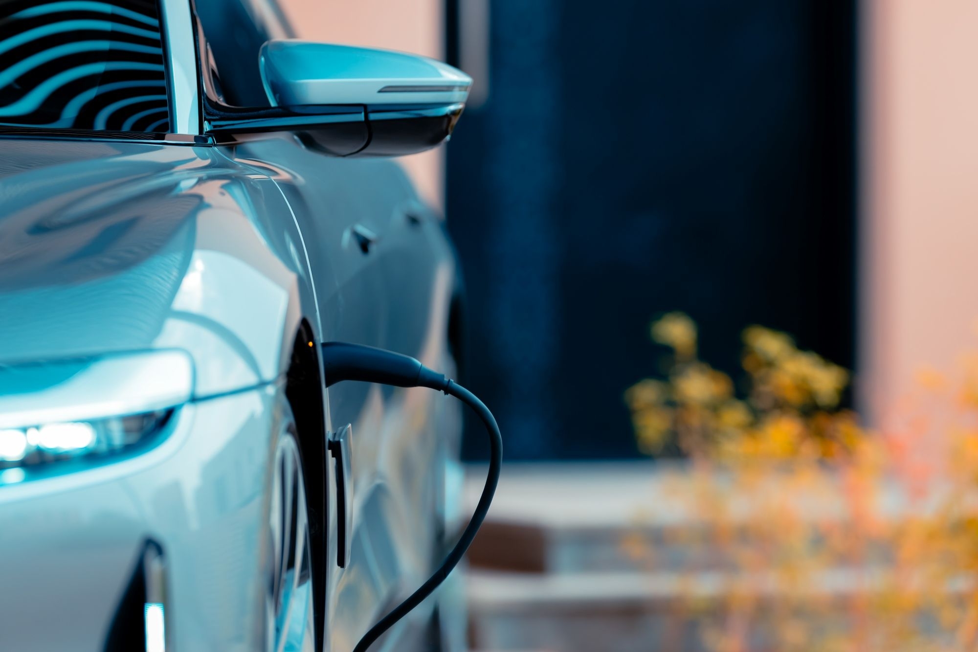 تعزيز مفاهيم الاستدامة