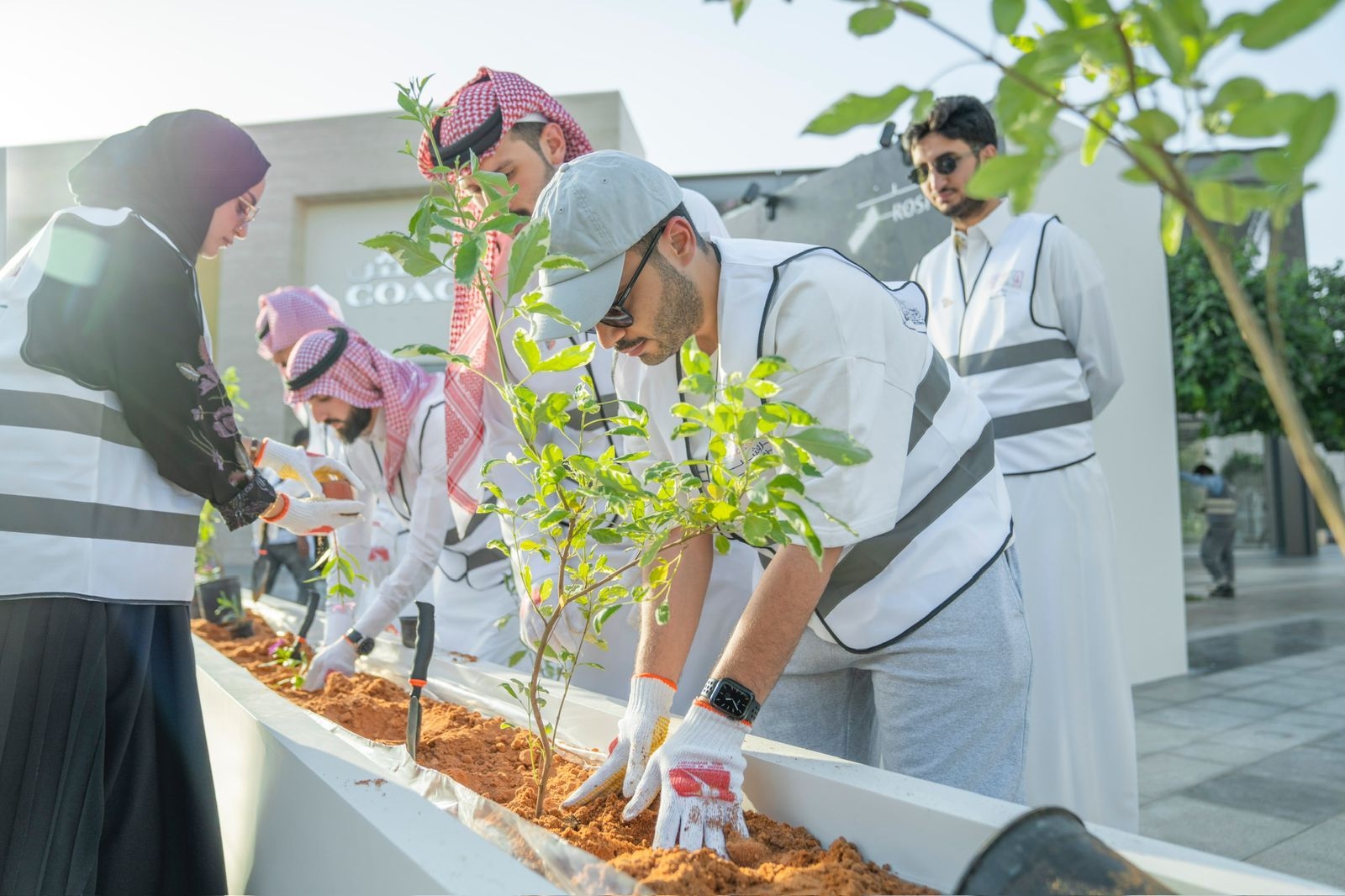 ROSHN Group's Environmental Initiatives During Environment Week 2025