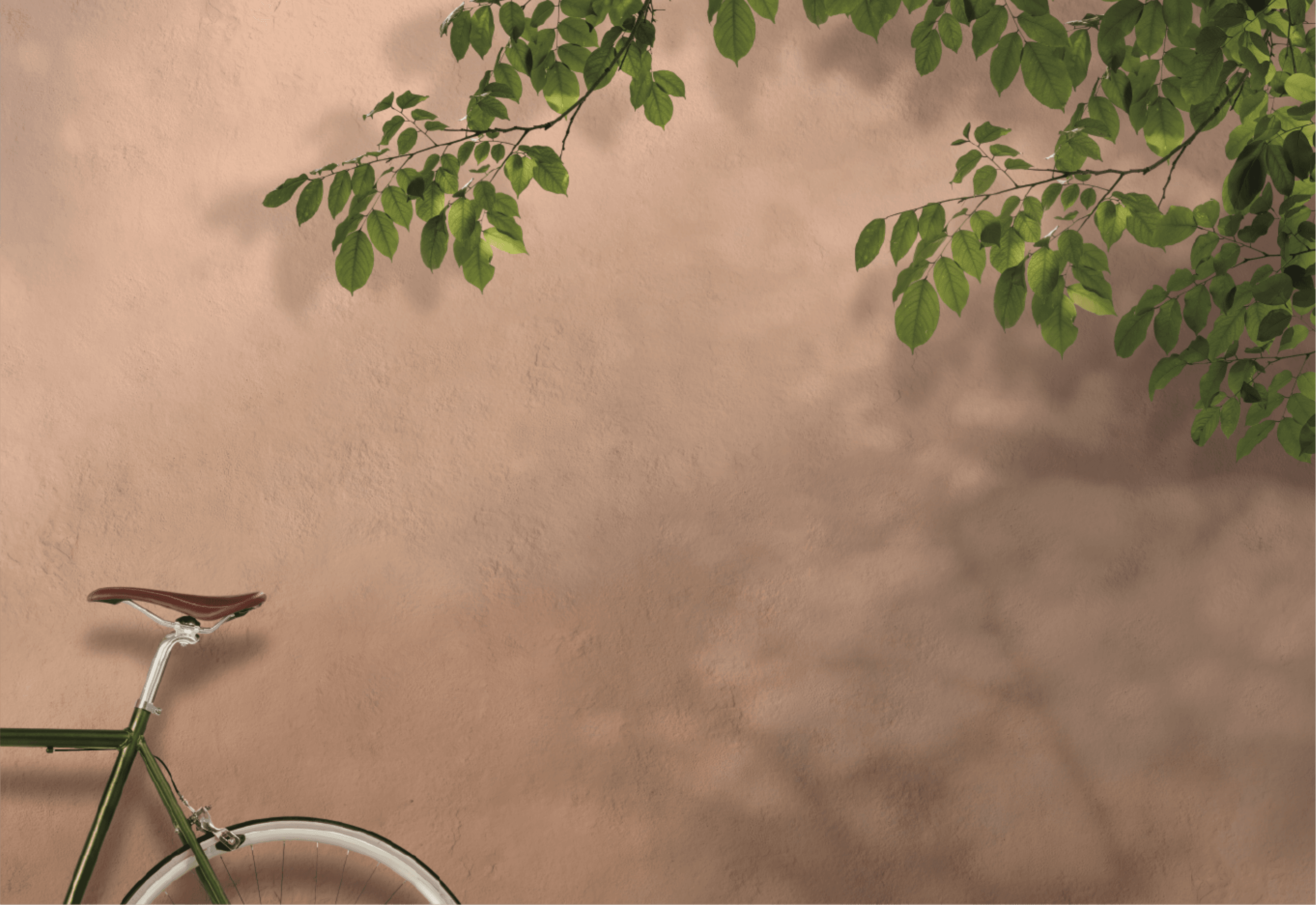 SEDRA Fourth Phase | المرحلة الرابعة من سدرة